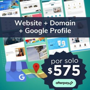 BASIC WEBSITE + Optimiza tu presencia en Google + Domain