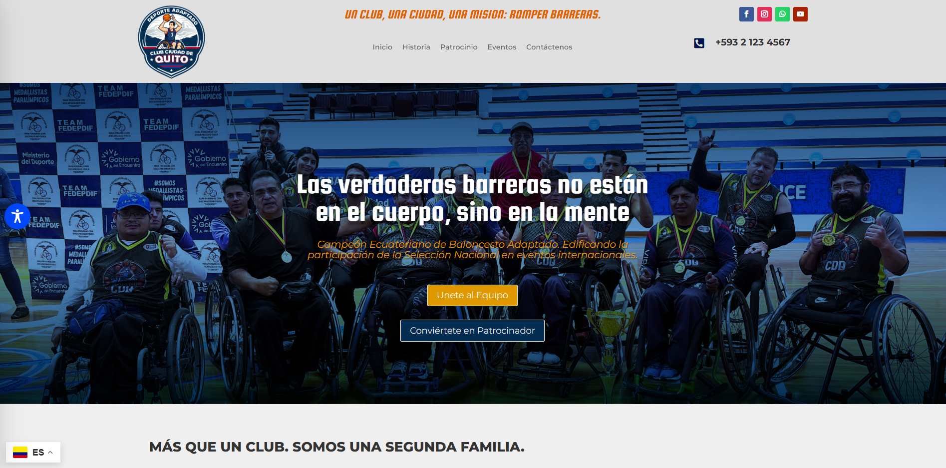 Web Design Miami