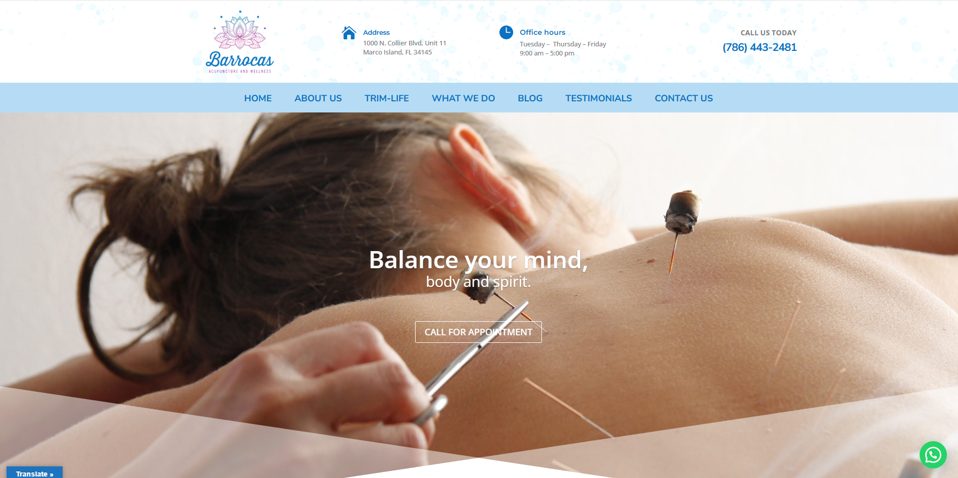 Web Design Miami